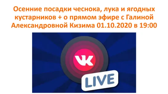 Осенние посадки чеснока, лука и ягодных кустарников   о прямом эфире с Галиной Александровной Кизима 01.10.2020 в 19:00