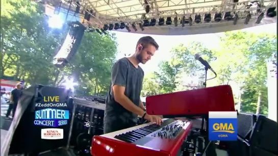 Zedd wows the Central Park crowd with his hit Adrenaline