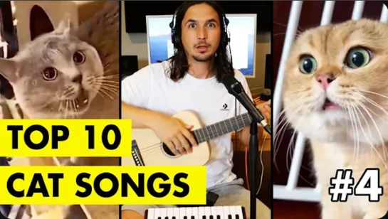 Top 10 Cat Songs by The Kiffness