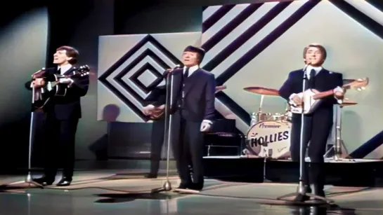 The Hollies - 1965 - Look Through Any Window