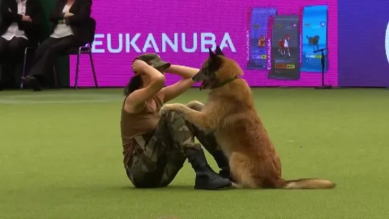 Lusy Imbergerova и Deril, Crufts 2017