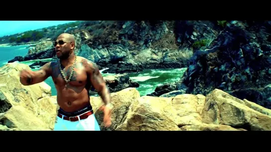 Flo Rida - Whistle