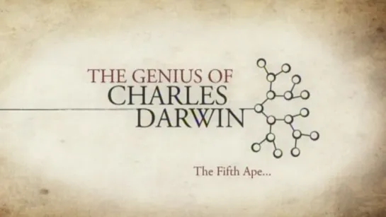 2. Пятая обезьяна / The fifth ape (2008) Гений Чарльза Дарвина / The Genius of Charles Darwin