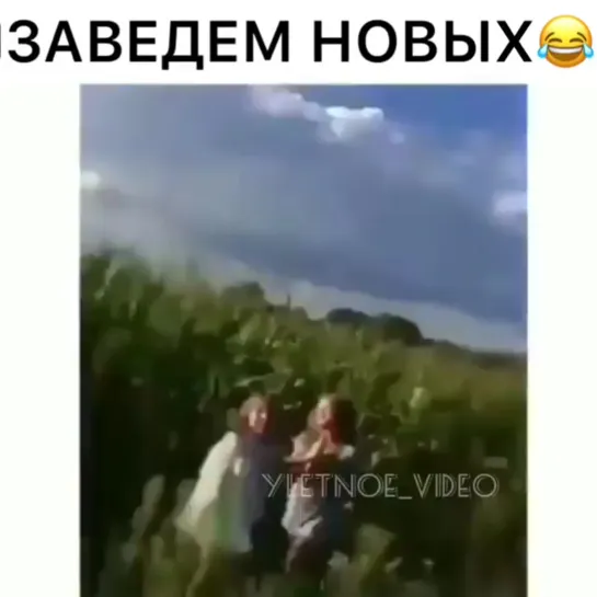 Кукурузка )))) Для позитива на день ))) Грустно - посмотри )))