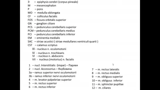 Глазодвигательные нервы (проф. В.А. Изранов)