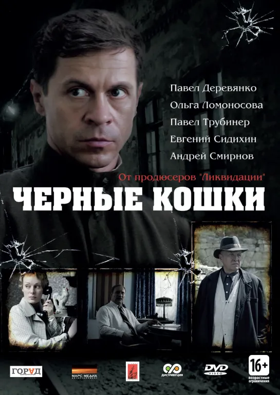 🎥 Черные кошки 9...12 серии реж.Е.Лаврентьев 2013 HD