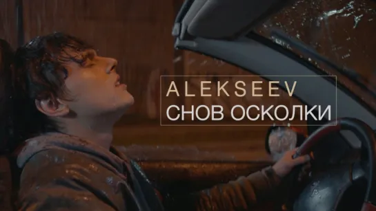 Alekseev - Снов Осколки