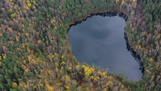 Смоленское поозерье осенью