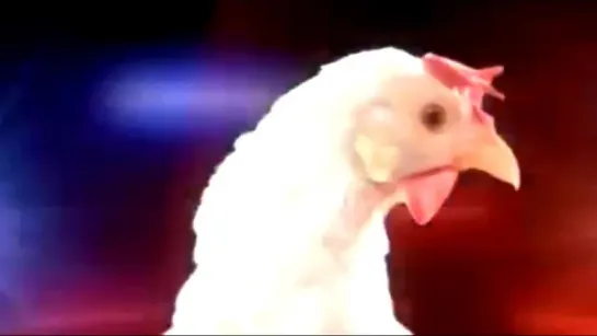 Dominoes Techno Chicken - FUNNY (Extended HD)