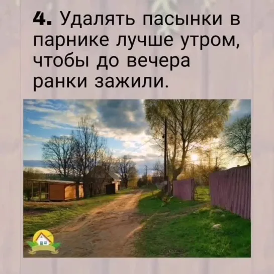 Как правильно удалять пасынки.