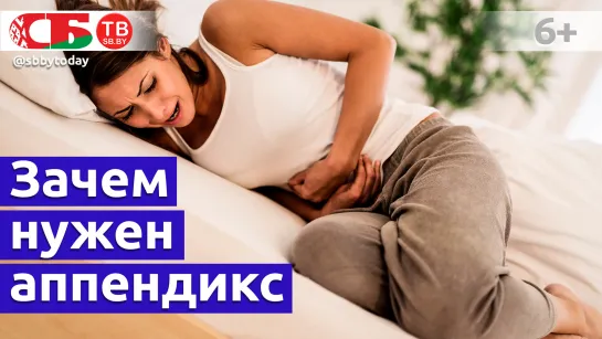 Для чего человеку аппендикс? Почему воспаляется аппендицит? Как этого избежать?