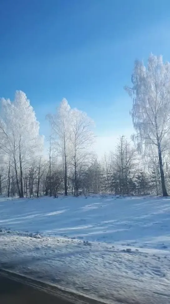 Видео от Александра Жучкова