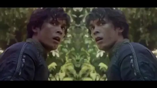 ▻ Bellamy Blake