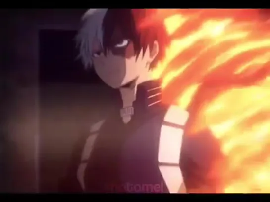 ▻ shoto todoroki