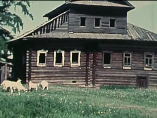 "Деревенские повести. Операция ЮГ" 1982 года - док.фильм