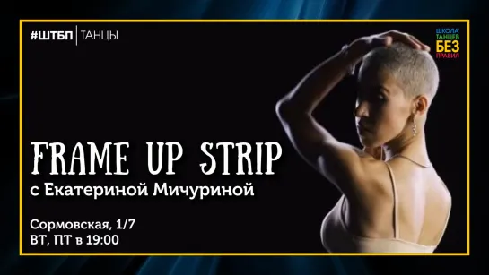 Катерина Мичурина | Frame Up Strip | ШТБП