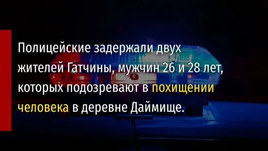 Полицейские задержали двух жителей Гатчины