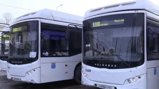 ВИДЕО. На маршруты до Петербурга выйдут 46 новых экологичных автобусов