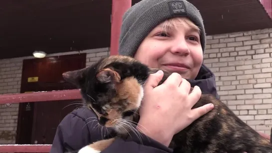 ВИДЕО. В Новом Учхозе появится кошачий город