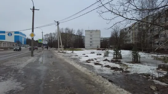 ВИДЕО. Голосование: Мариенбург, аллея у Березовых ворот или территория у Павловского собора?