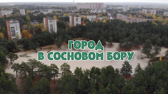 Новости пешком. Город в сосновом бору