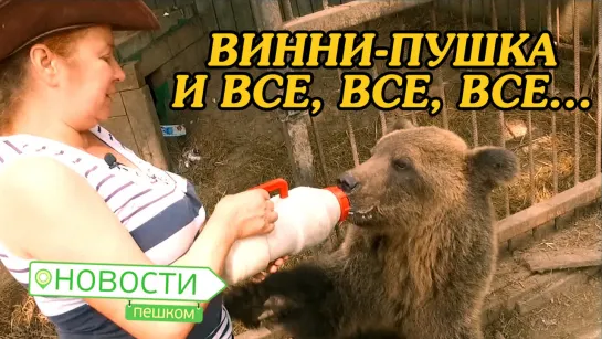 Новости пешком. Винни-пушка и все,все, все...