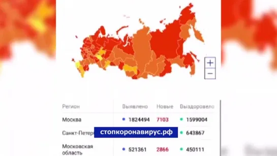 Информация о QR-кодах по стране — в один клик