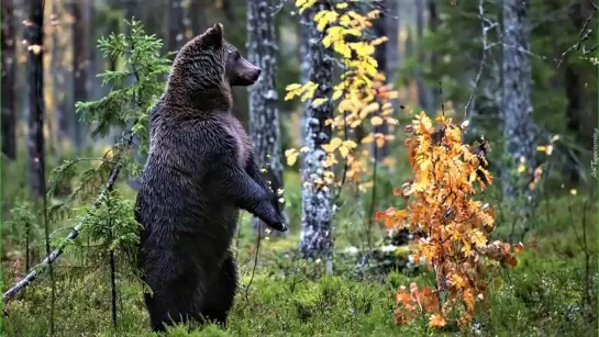 ✔ Срочно «Земляне - ваше реальное Будущее !» Бог