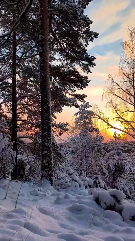 Зимнее волшебство природы