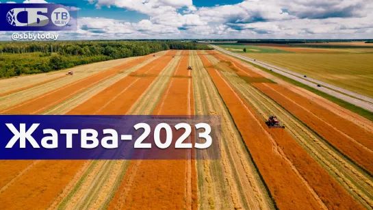 Жатва – 2023 c высоты птичьего полета