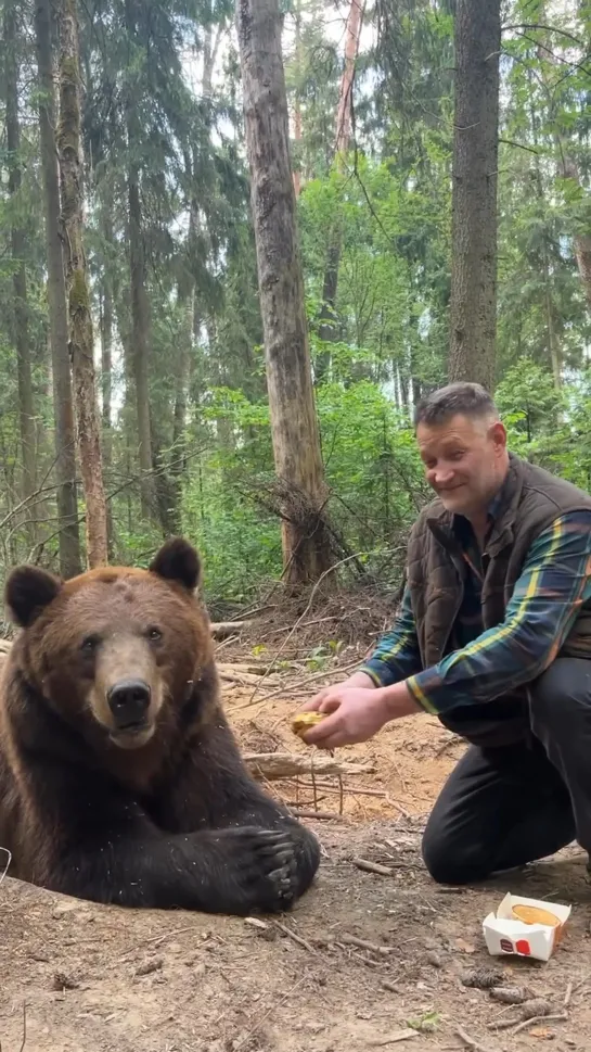 Видео от ЖЕНСКИЙ ЮМОР ЛЖЮ