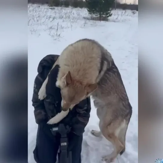 Вот это доверие!!! Любовь и благодарность!