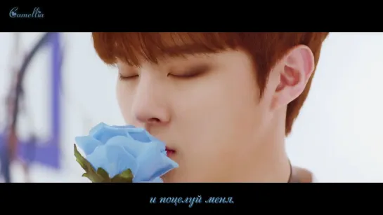 [Camellia] UP10TION - Blue Rose (рус.саб)