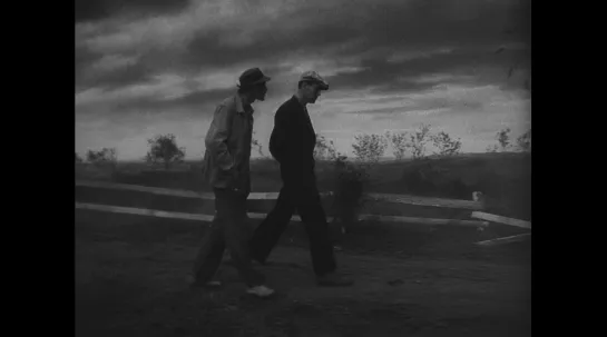 the grapes of wrath (john ford, 1940)