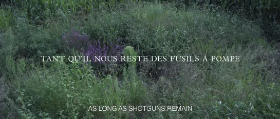 as long as shotguns remain / tant qu'il nous reste des fusils à pompe (caroline poggi & jonathan vinel, 2014)