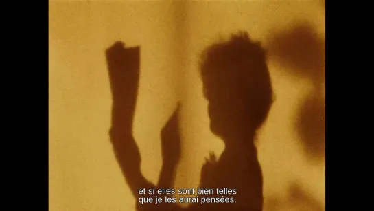 on top of the whale / het dak van de walvis (raúl ruiz, 1982)