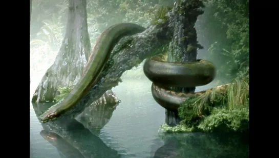 Titanoboa- Monster Snake (2012) Documentary HD