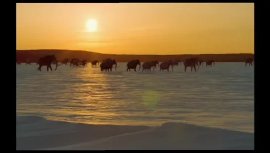 BBC Documentary Walking with Beasts (6-6) - Mammoth Journey