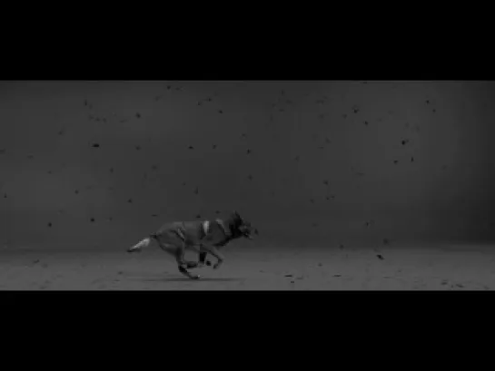 Woodkid - Iron