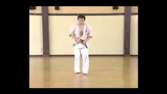 KUDO (Daido Juku Karate Do) part 1