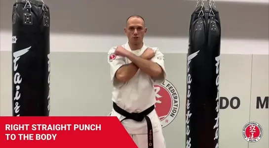 Kudo Home Class 13 - Kihon straight punches