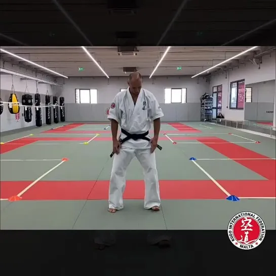 Kudo Home Class 12 - Punches with defense moves