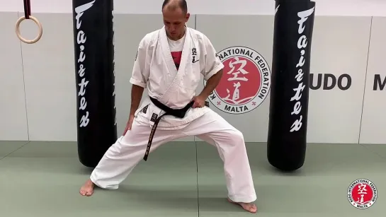 Kudo Home Class 17 - Legs Kihon Technique, part I