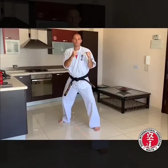 Kudo Home Class 9 - Punches in fighting position with forward and back steps.