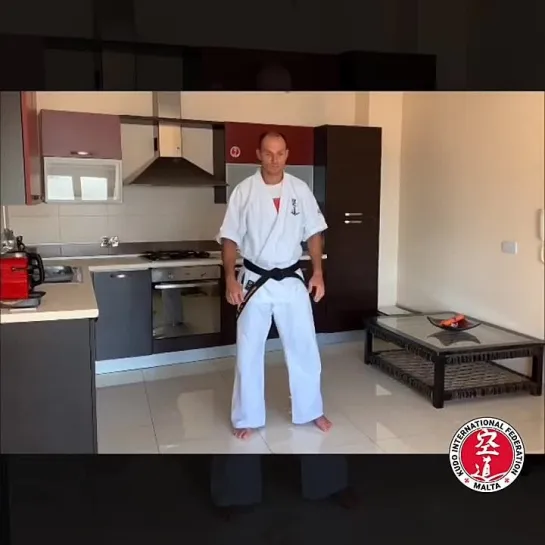 Kudo Home Class 11 - Slide with punches and kick