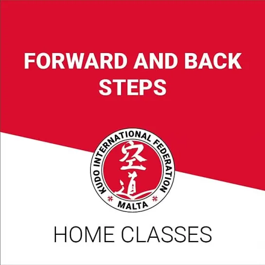 Kudo Home Class 1 - Steps and straight punches exercises