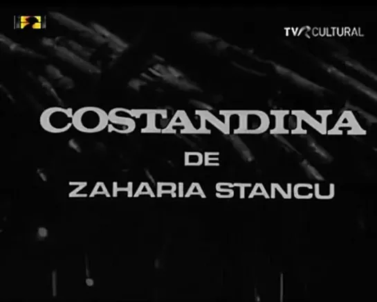 Costandina(TVR)