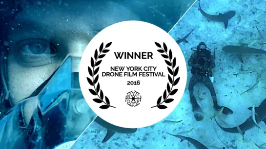 THE SHARK DRONIE by Behind the Mask Awarded #NYCDFF 2016