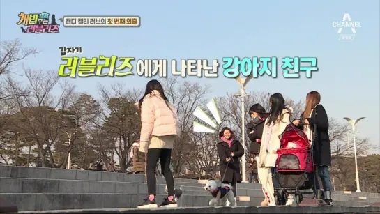 180224 | Lovelyz cut | A Man Who Feeds The Dog 2 EP4