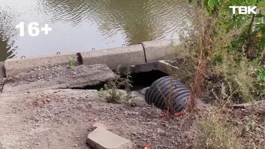 Анонс «Проверки» ТВК на набережной Качи